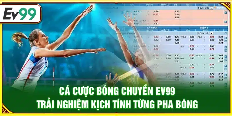 Cá cược bóng chuyền Ev99 – Trải nghiệm kịch tính từng pha bóng