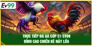 Trực tiếp đá gà Cúp C1 Ev99 – Đỉnh cao chiến kê nảy lửa