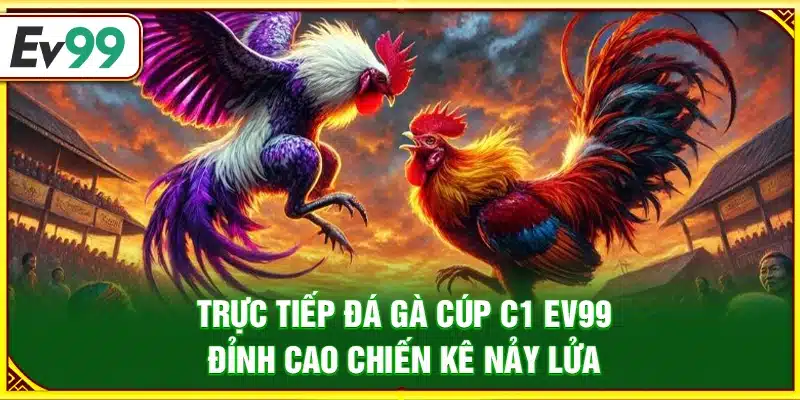 Trực tiếp đá gà Cúp C1 Ev99 – Đỉnh cao chiến kê nảy lửa