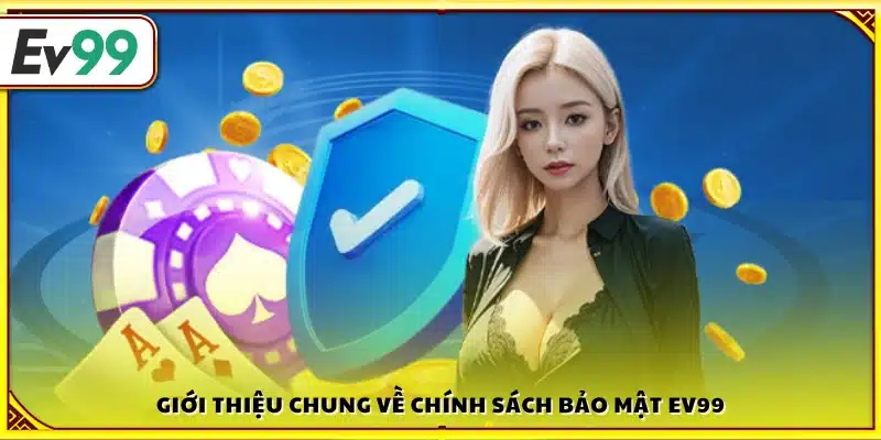Tổng quan về chính sách bảo mật tại Ev99