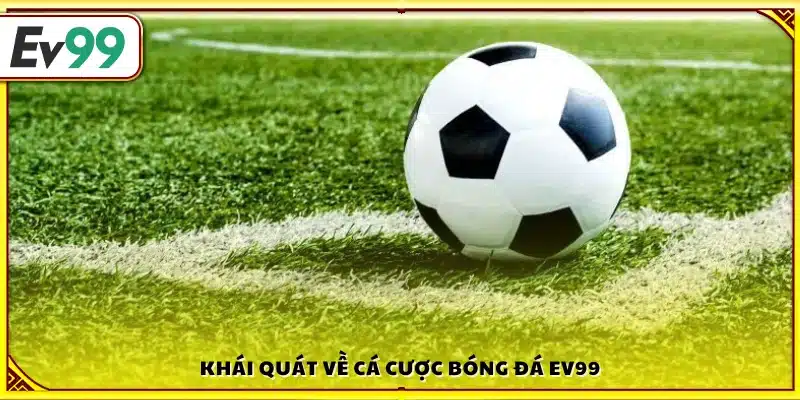 Cá cược bóng đá đỉnh cao tại Ev99