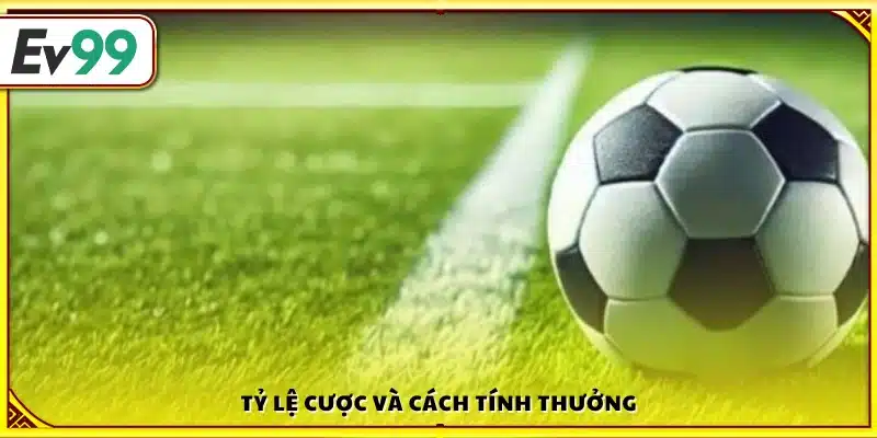 Tỷ lệ quyết định mức thưởng