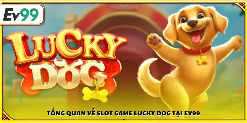 Giới thiệu chung Lucky Dog Ev99
