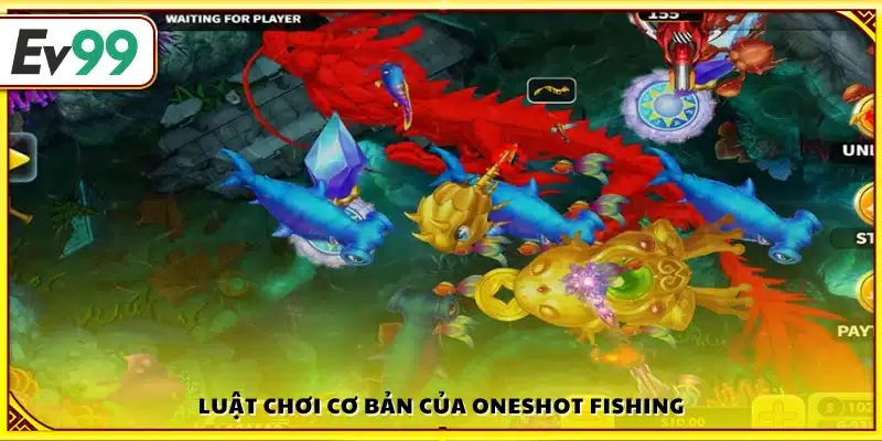 Quy tắc trong Oneshot Fishing